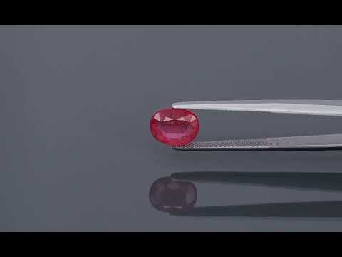 Primary video