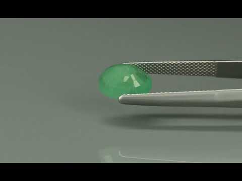 Primary video