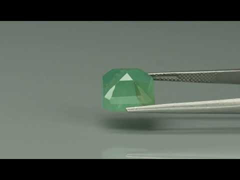 Primary video