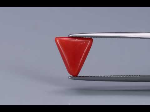Primary video