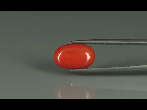 Primary video