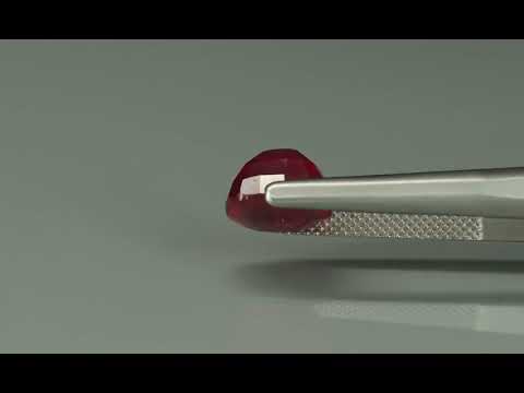 Primary video