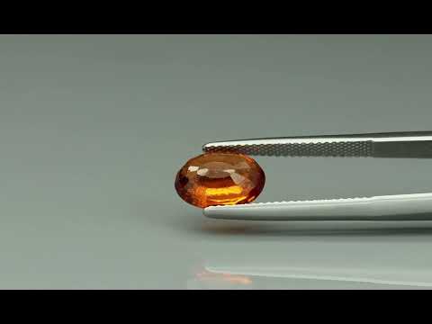 Primary video