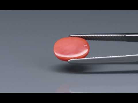 Primary video