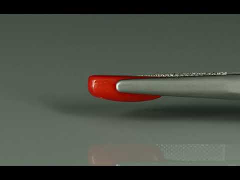 Primary video