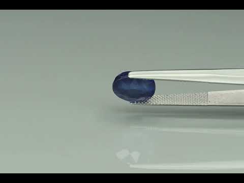 Primary video