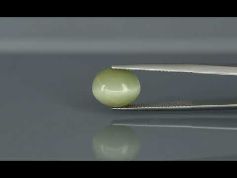 Primary video