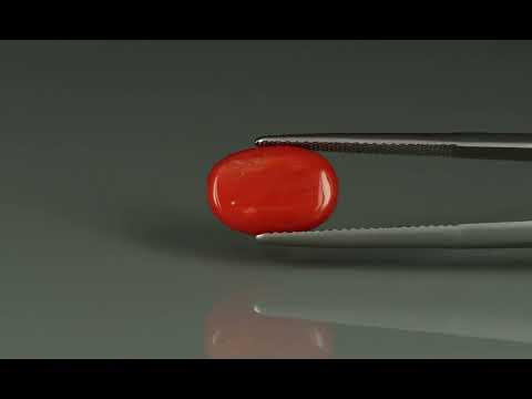 Primary video