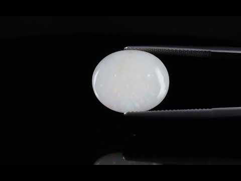 Primary video