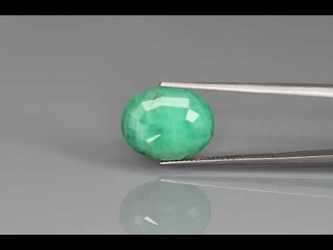 Primary video