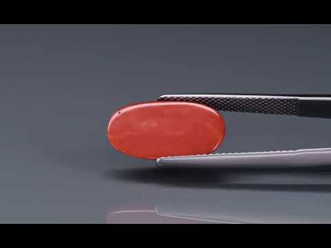 Primary video