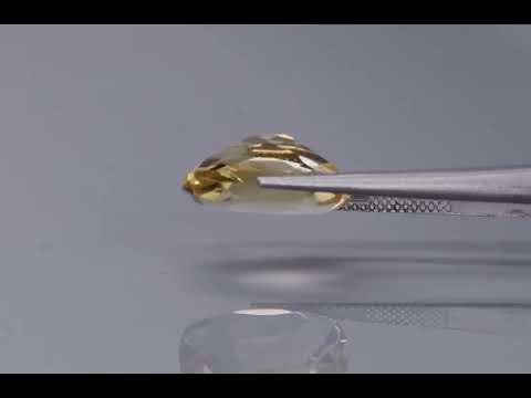 Primary video