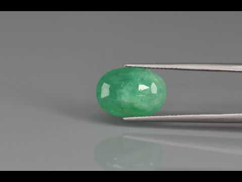 Primary video