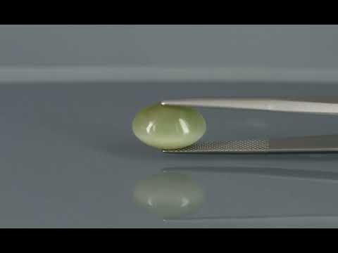 Primary video