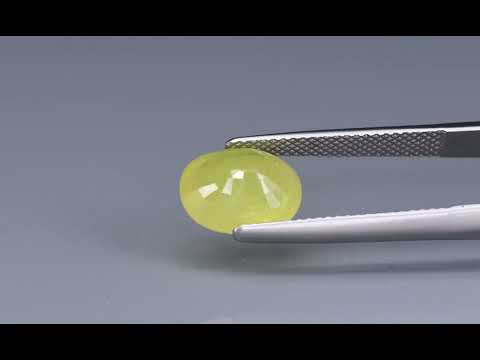 Primary video