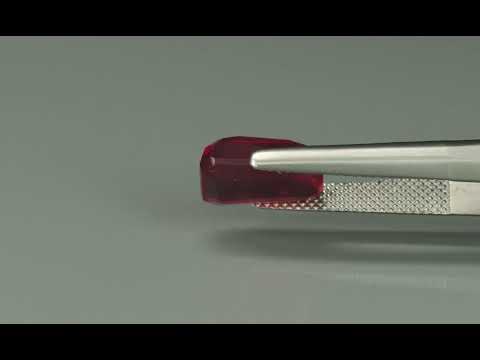 Primary video