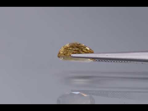 Primary video