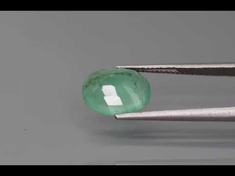 Primary video