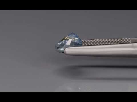 Primary video