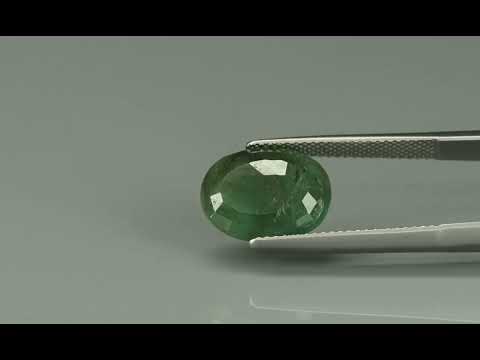 Primary video