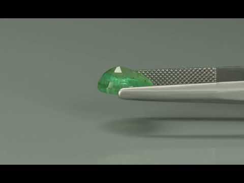 Primary video