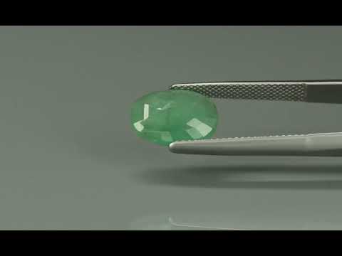 Primary video