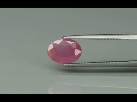 Primary video