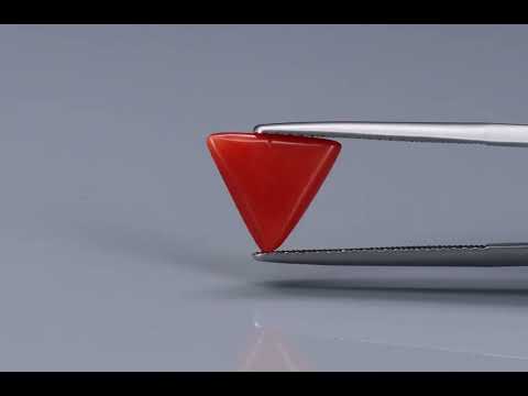 Primary video