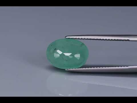 Primary video