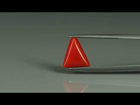 Primary video
