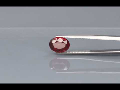 Primary video