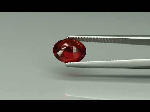 Primary video