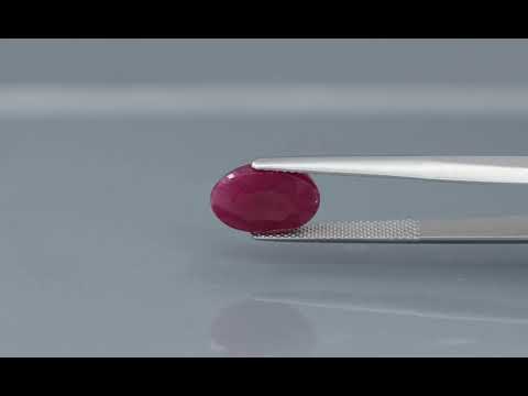 Primary video