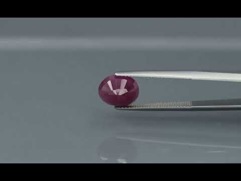 Primary video