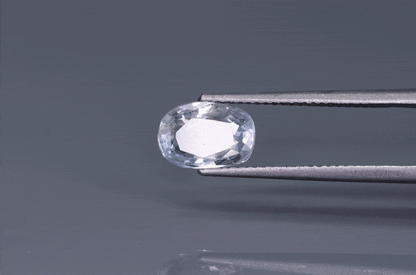 Bi Colour Sapphire - 2.6ct - KBC215931