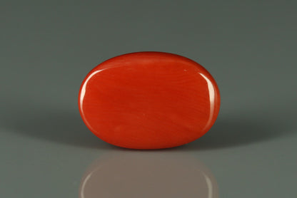 Coral  - 5.3ct - KC110243