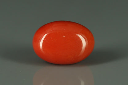 Coral  - 6.6ct - KC110254
