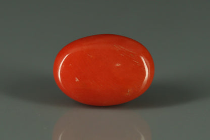 Coral  - 6.6ct - KC110254
