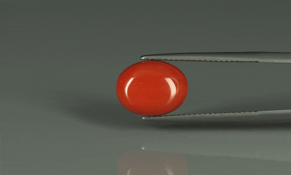 Coral  - 6.15ct - KC110255