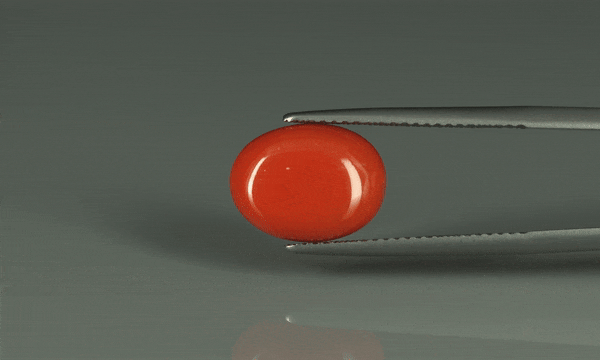 Coral  - 6.2ct - KC110684