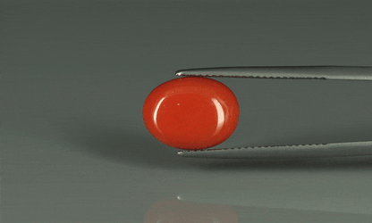 Coral  - 6.2ct - KC110684