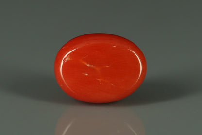 Coral  - 6.2ct - KC110684