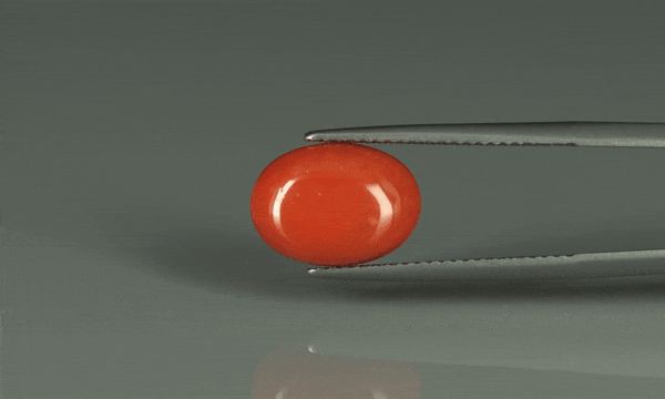 Coral  - 5.95ct - KC110685