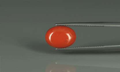 Coral  - 5.95ct - KC110685