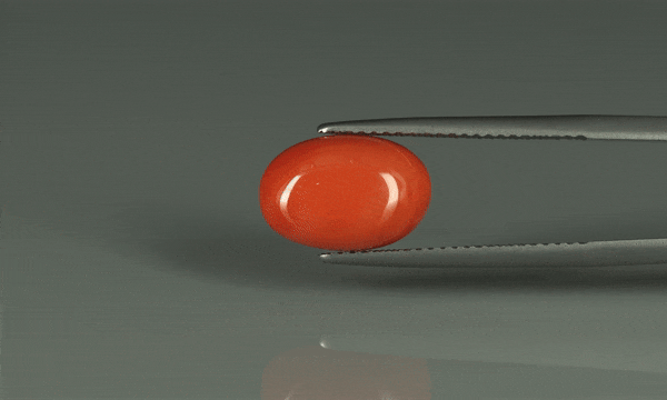 Coral  - 5.8ct - KC110686