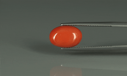 Coral  - 5.8ct - KC110686