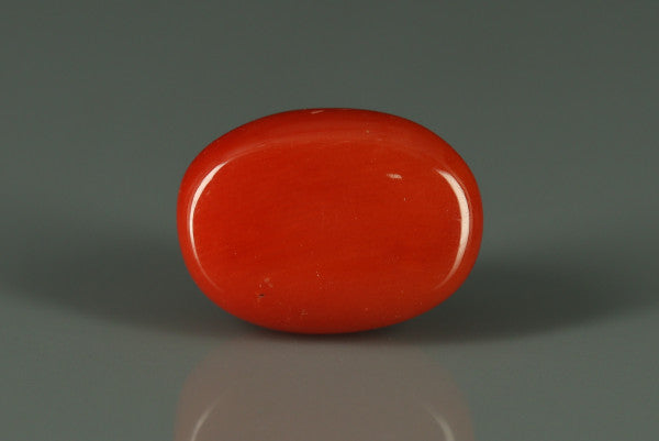 Coral  - 6.2ct - KC110687