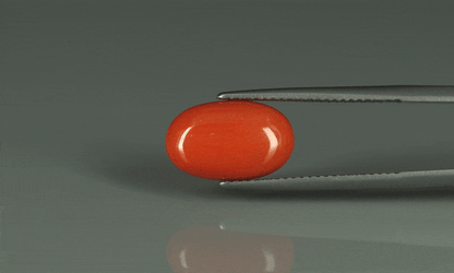 Coral  - 5.2ct - KC110688