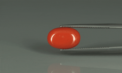 Coral  - 6ct - KC110732