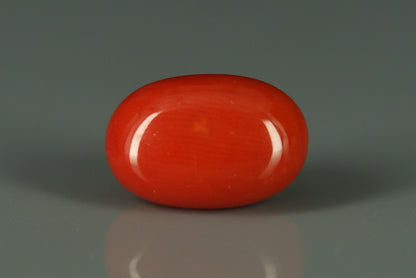Coral  - 6ct - KC110732